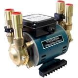3.0 Bar Positive Twin Impeller Brass Heavy Duty Regenerative Shower Pump