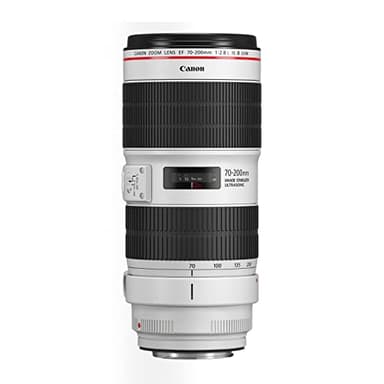 Canon EF 70-200mm f/2.8L IS III USM Lens - Telephoto Zoom Lens for Photo & Video - 3.5-stop Image Stabilizer - Event, Sport, Wildlife Photography