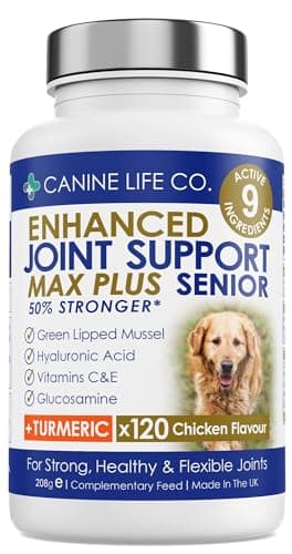 Senior MAX Plus High Strength Dog Joint Supplement With Turmeric Glucosamine & Green Lipped Mussel | For Older Stiffer Dogs Age 9+ | 120 Chewable Tablets | Made In The UK ((1 Pot (120 Tablets)))