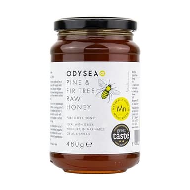 Odysea Pine and Fir Tree RAW HONEY, 480g - Award Winning - 100% Natural, Cold-Extracted, Pure & Unprocessed - Low in Sugar - Healthy - Premium - Greek - High in Manganese